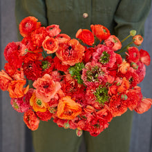 Bright red ranunculus super green orange bouquet on a natural outdoor backdrop