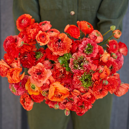 Bright red ranunculus super green orange bouquet on a natural outdoor backdrop