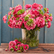 Pink ranunculus super green rose bouquet in a glass vase on a teal wall backdrop