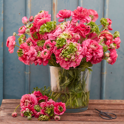 Pink ranunculus super green rose bouquet in a glass vase on a teal wall backdrop