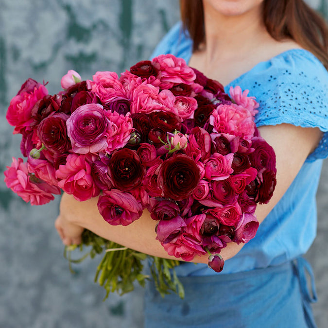 ranunculus vineyard mix