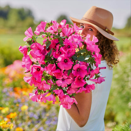 Bright pink Rose Mallow Tanagra bouquet held against a blurred sunny background
