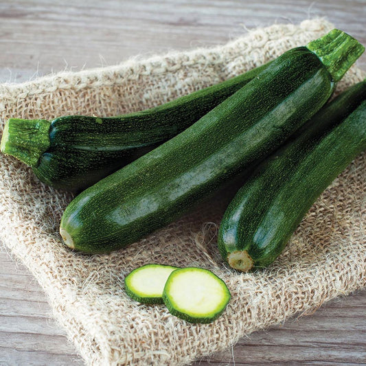 squash black beauty