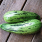 caserta squash