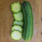 romanesco squash