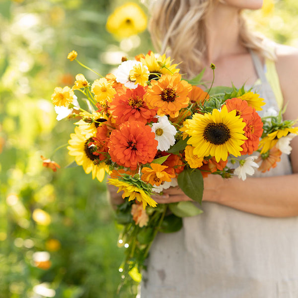 Sunset Mix - Orange, Yellow & White Flower Seed Mix | Flower