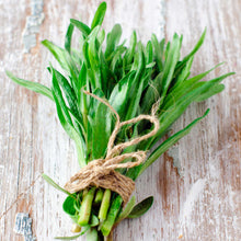A small bundle of green stems of tarragon with narrow leaves.