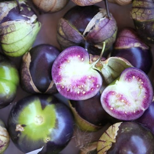 purple tomatillo