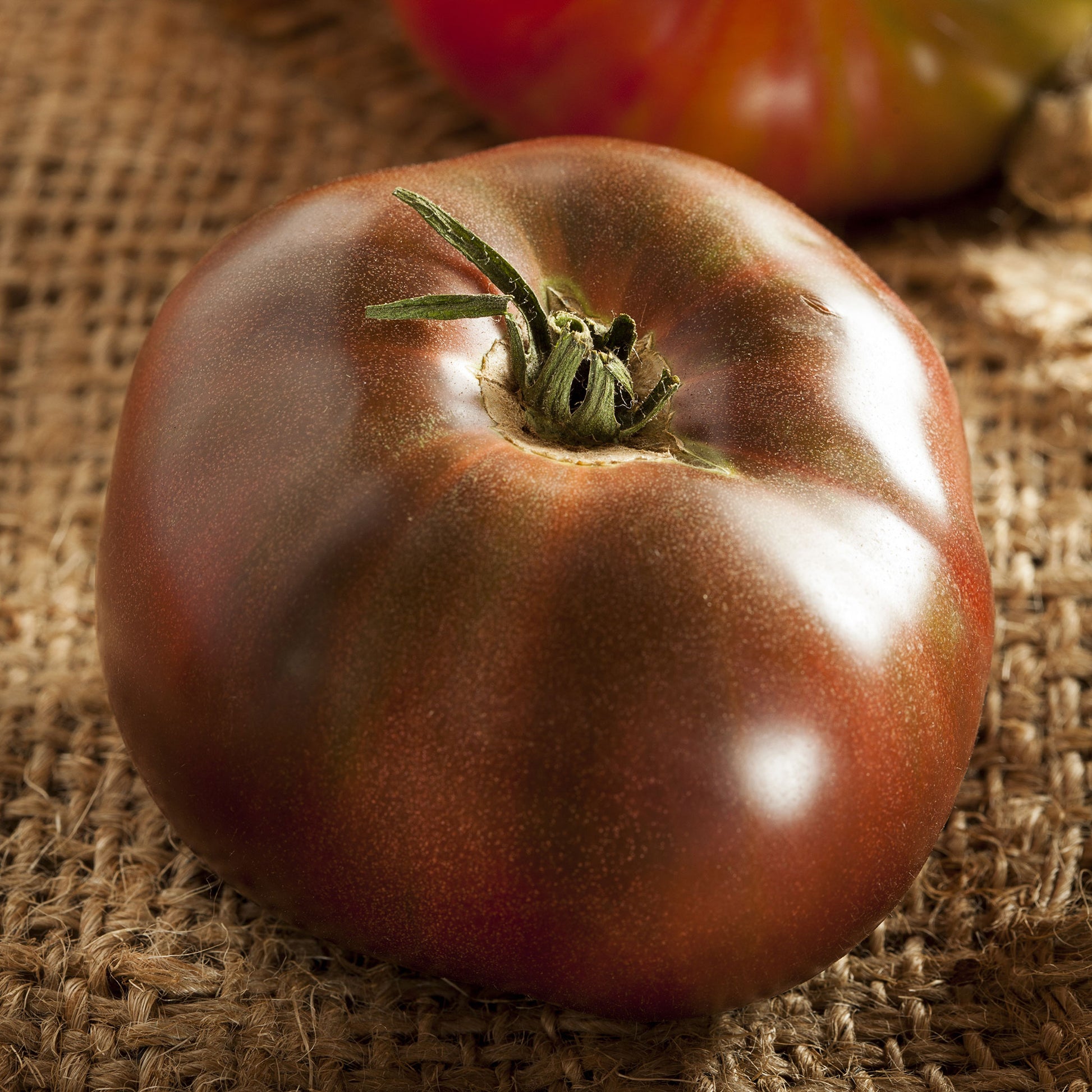 Tomato Seeds - Black Brandywine, Vegetable Seeds in Packets & Bulk