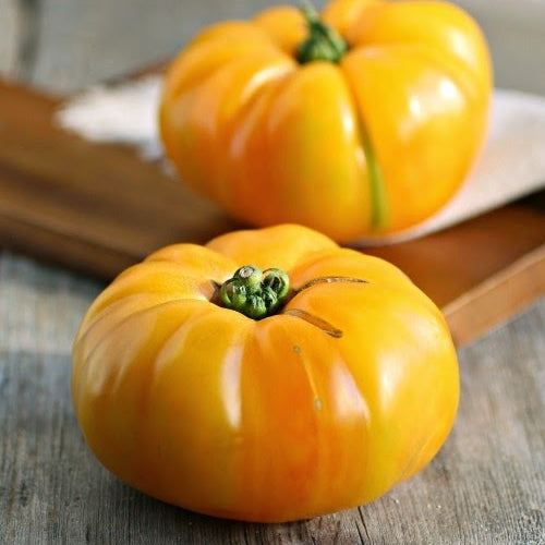 brandywine yellow tomato 