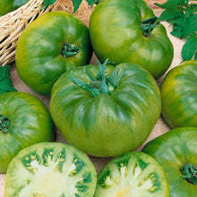 A Cherokee Green tomato with dark stripes, in a group with slices in the front.