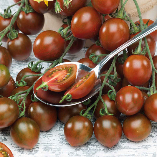 tomato chocolate sprinkles