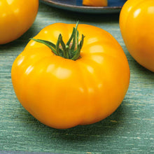 A bright yellow Lemon Boy tomato, with a smooth skin and a slightly irregular shape.