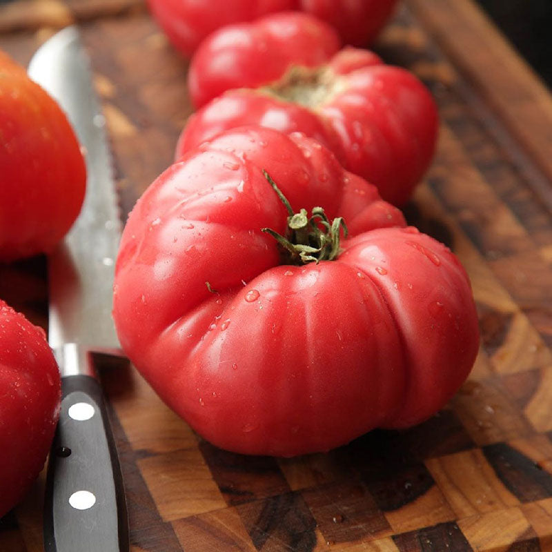 organic pink brandywine tomato 