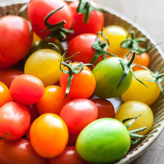 tomato rainbow cherry mix