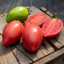 A red, oval-shaped Rugby F1 tomato with a smooth skin, shown against a wooden background.