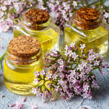 Valerian herb blooms and oil in small glass jars on a neutral background.