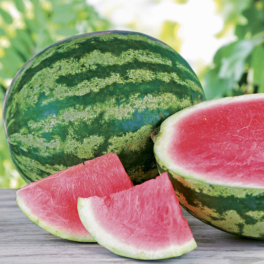 Optima Watermelon Watermelon Seeds | Shop 23 Varieties | Eden Brothers