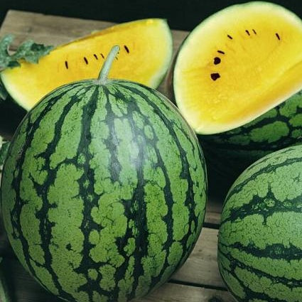 yellow petite watermelon 