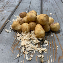 A pile of wood hyacinth bulbs on a wooden surface with some wood shavings in front.