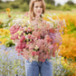 yarrow colorado mix