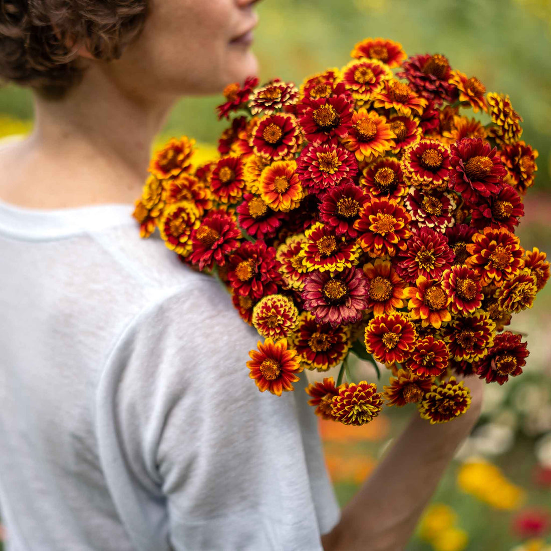 Spanish Aztec Mix Zinnia Seeds - Aztec Mix | Flower Seeds in Packets & Bulk | Eden Brothers