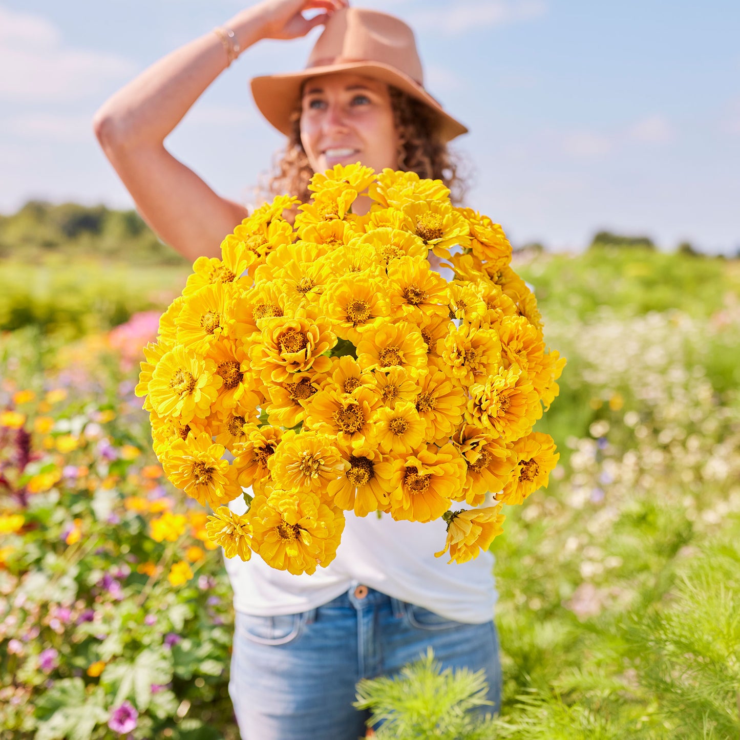 zinnia golden state