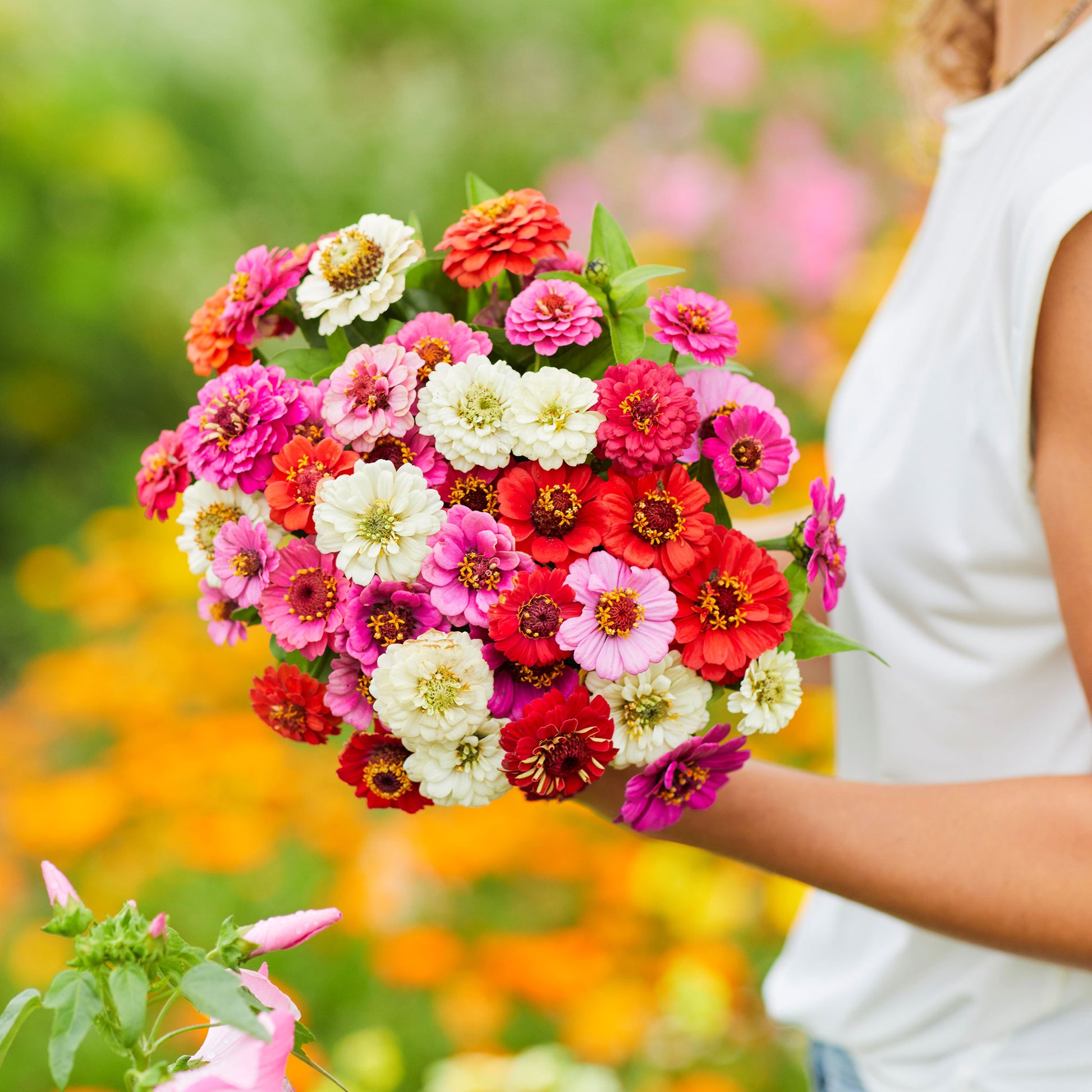 10 Flower Seeds Packets - Individual Flowers Seeds for Planting | Seeds  Pack for Planting Outside & Indoors - Marigold, Zinnia, Morning Glory,  Cosmos