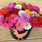 zinnia mix